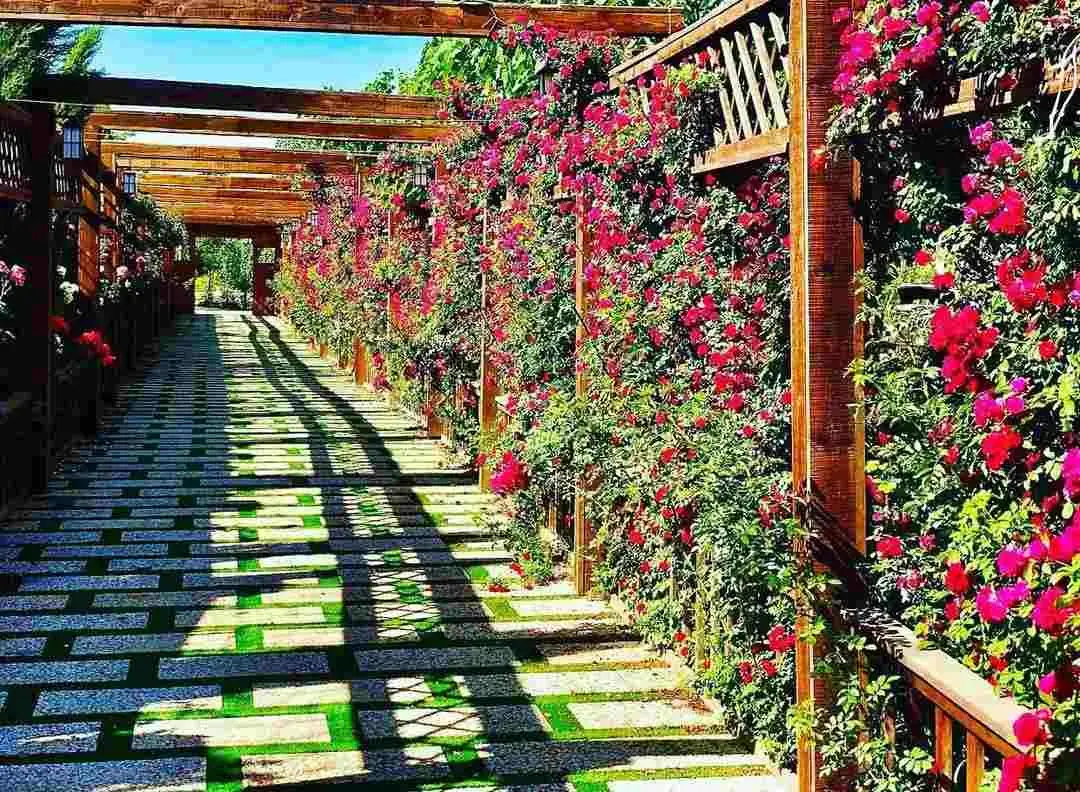 فضای باغ عمارت سناتور در تهران